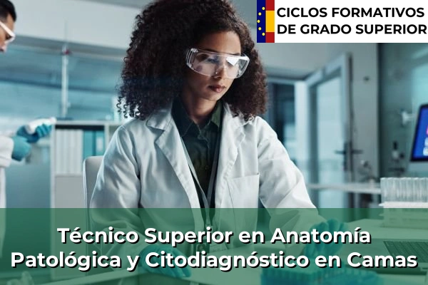 Técnico Superior en Anatomía Patológica y Citodiagnóstico en Camas