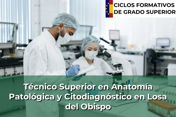 Técnico Superior en Anatomía Patológica y Citodiagnóstico en Losa del Obispo