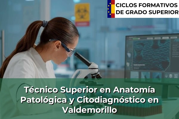 Técnico Superior en Anatomía Patológica y Citodiagnóstico en Valdemorillo