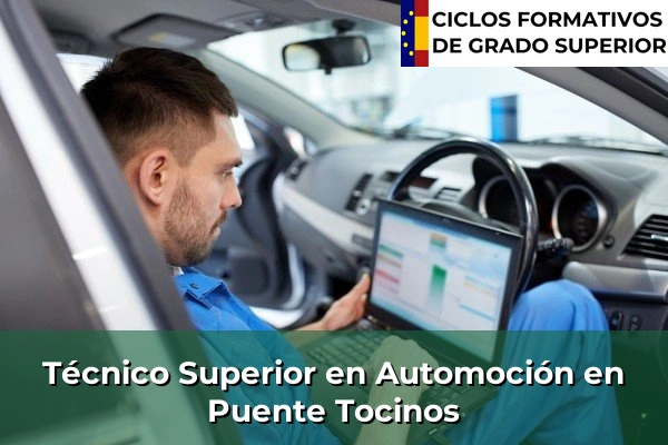 Técnico Superior en Automoción en Puente Tocinos
