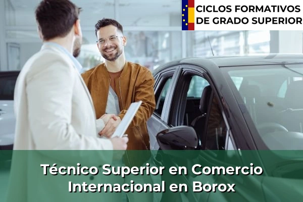 Técnico Superior en Comercio Internacional en Borox