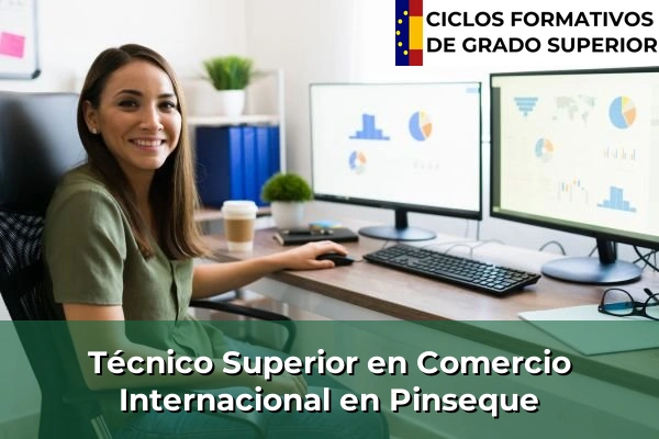 Técnico Superior en Comercio Internacional en Pinseque