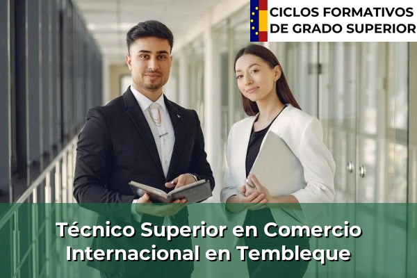 Técnico Superior en Comercio Internacional en Tembleque