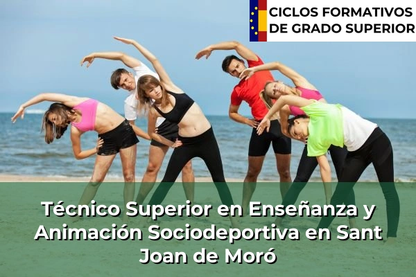 Técnico Superior en Técnico superior en enseñanza y animación sociodeportiva en Comunidad Valenciana 269 Técnico Superior en Técnico superior en enseñanza y animación sociodeportiva en Sant Joan de Moró