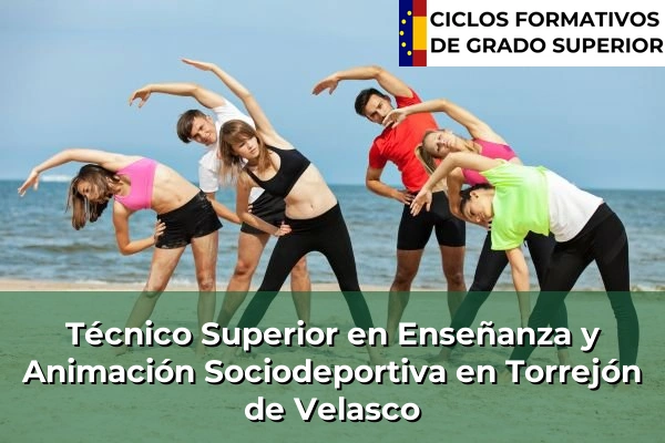 Técnico Superior en Técnico superior en enseñanza y animación sociodeportiva en Torrejón de Velasco