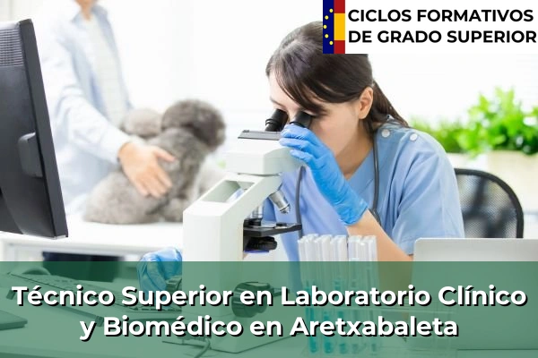 Técnico Superior en Laboratorio Clínico y Biomédico en Aretxabaleta