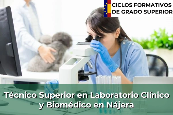 Técnico Superior en Laboratorio Clínico y Biomédico en La Rioja 8 Técnico Superior en Laboratorio Clínico y Biomédico en Nájera