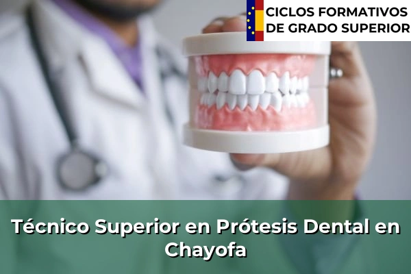 Técnico Superior en Prótesis Dental en Chayofa